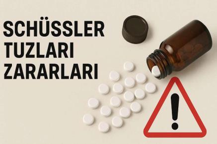 Schüssler Tuzları Zararları